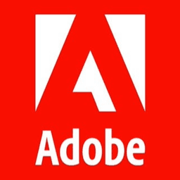 Adobe Solution Partner